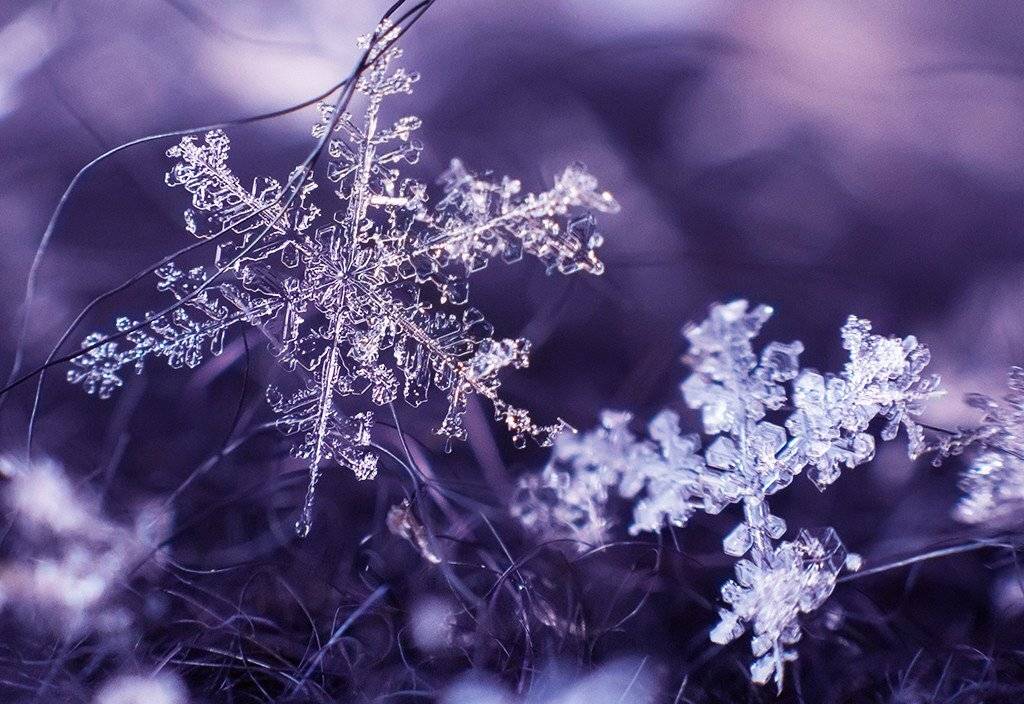 , Павел Сагайдак