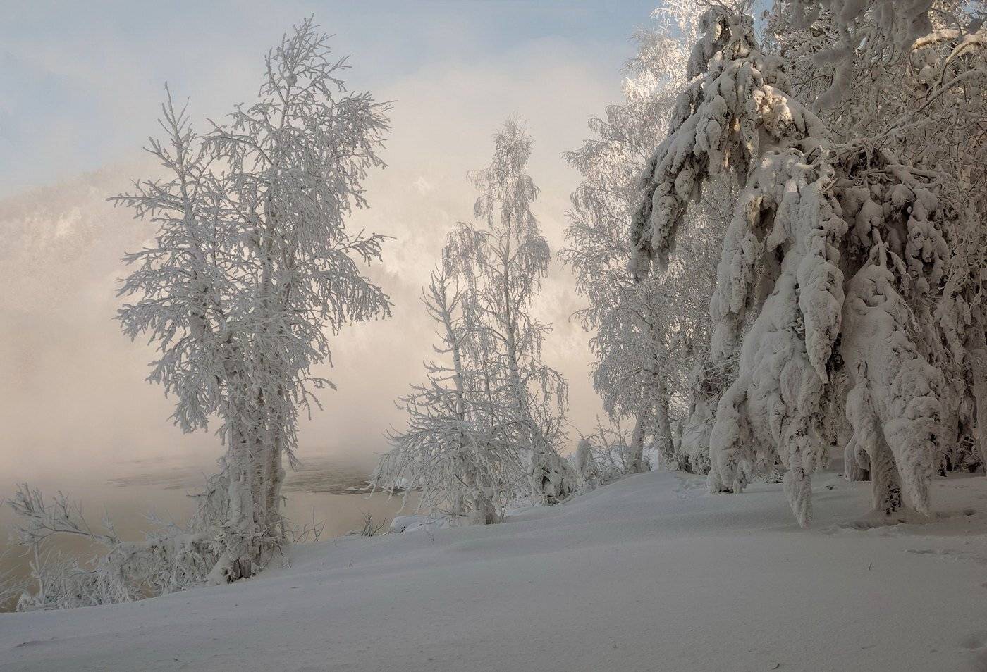 , Марина Фомина