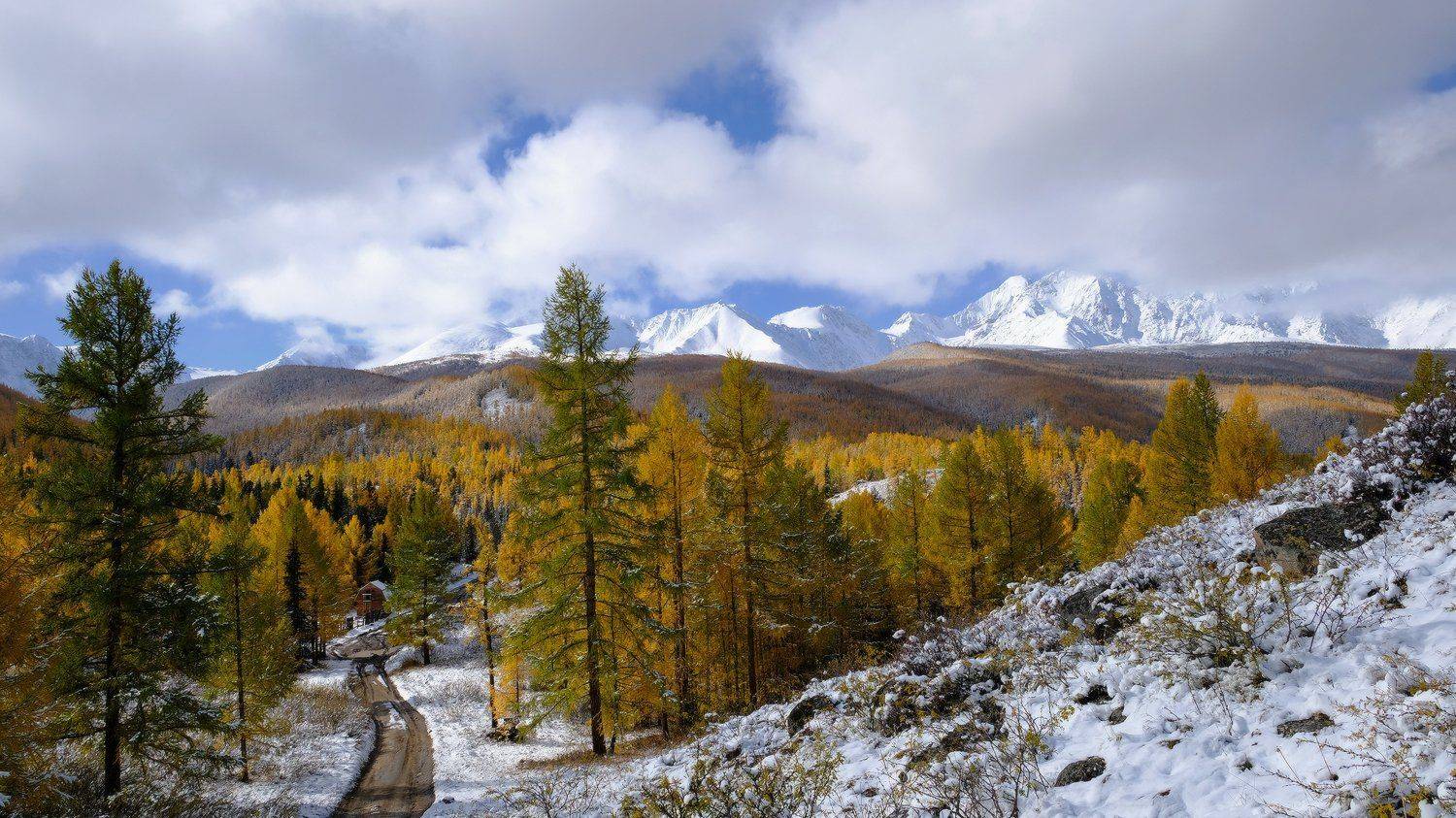 , Ольга Челдыкова