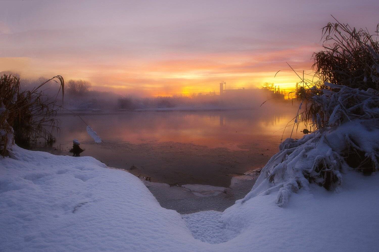 , Игорь Криницын