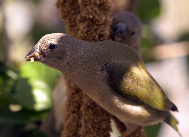Теплый взгляд фото превью