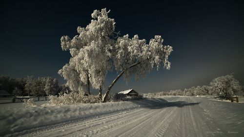 Зимний поклон.