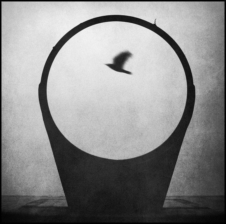 , Krzysztof Trojanowski