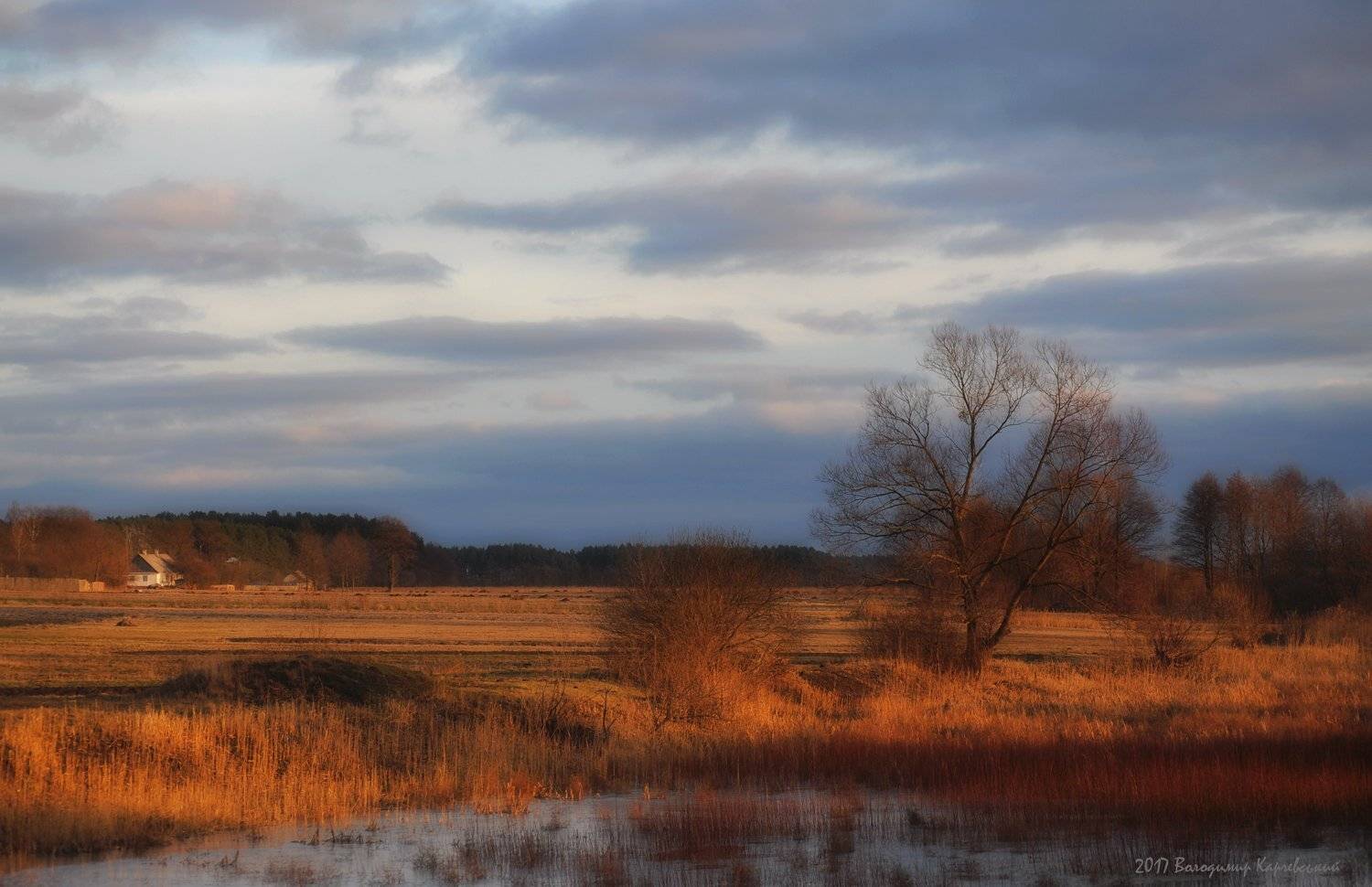 , Володимир Карчевський