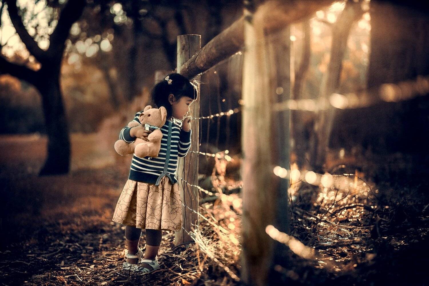 , Despird Zhang