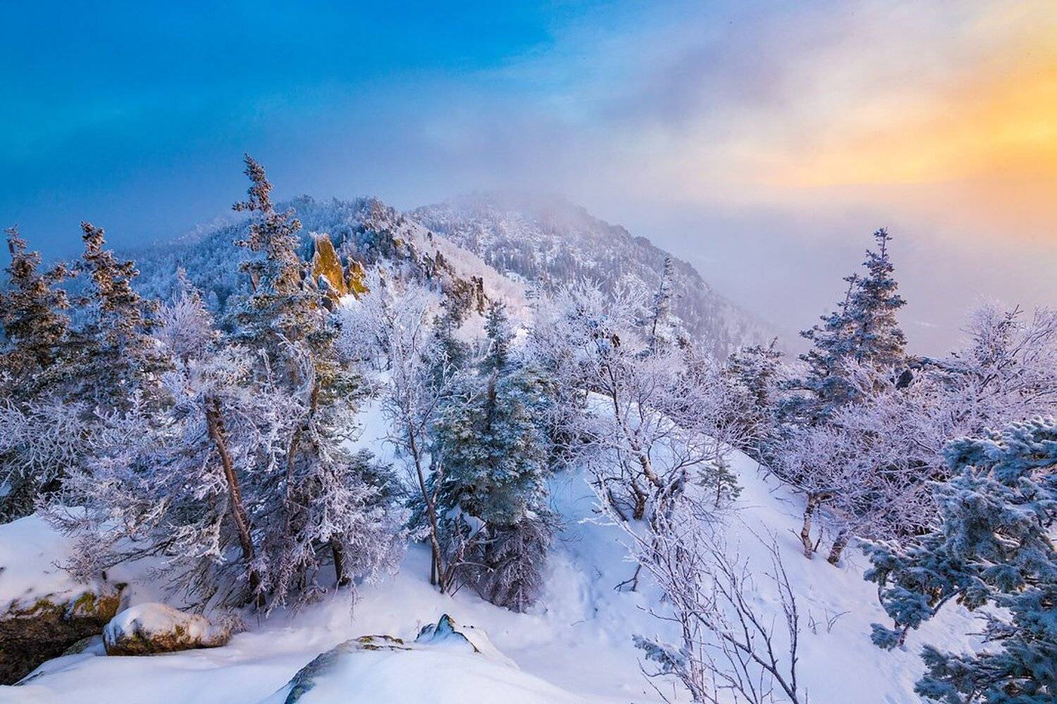 , Станислав Аристов