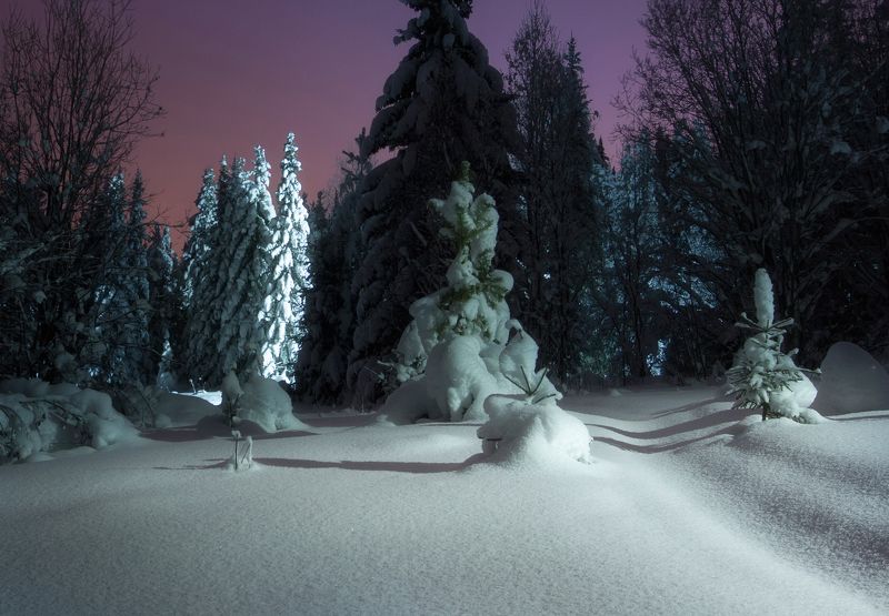 Вечером на лыжне. фото превью