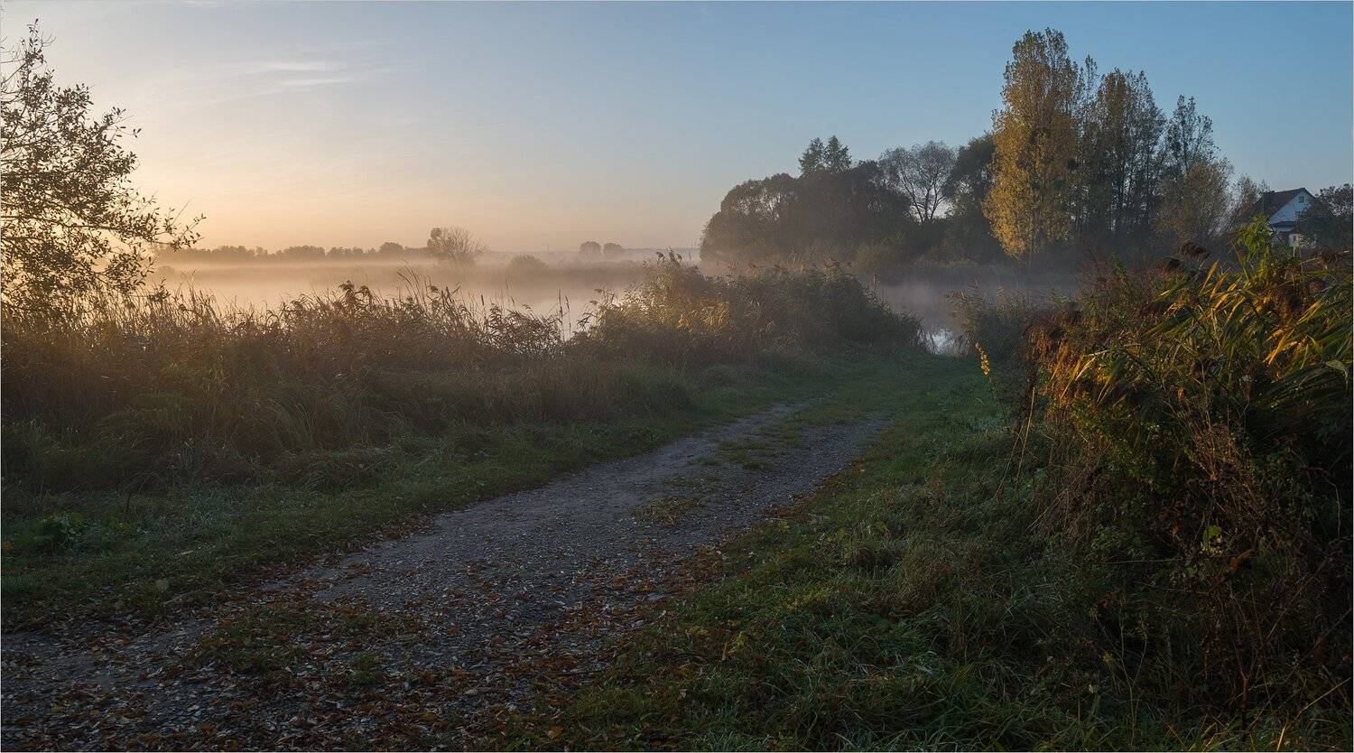 , Николай Шахманцир