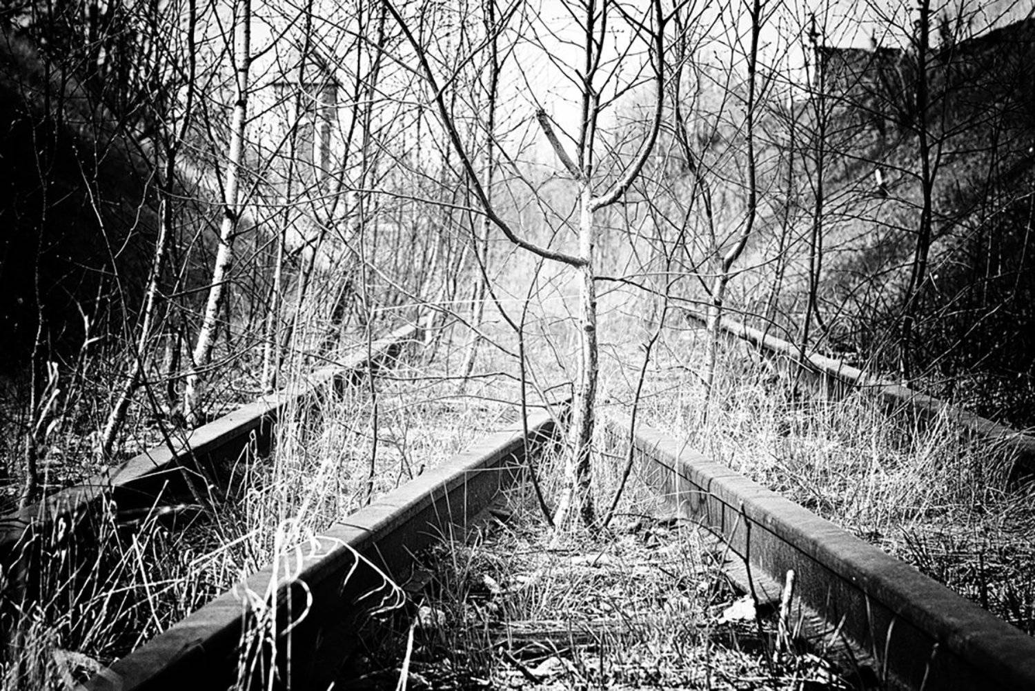 , Геннадий Новов