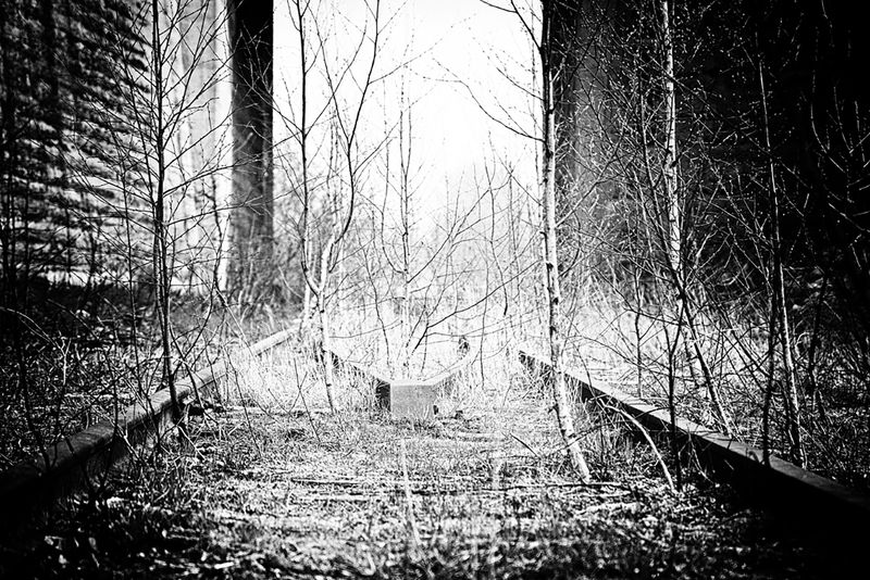 СВЕТ фото превью