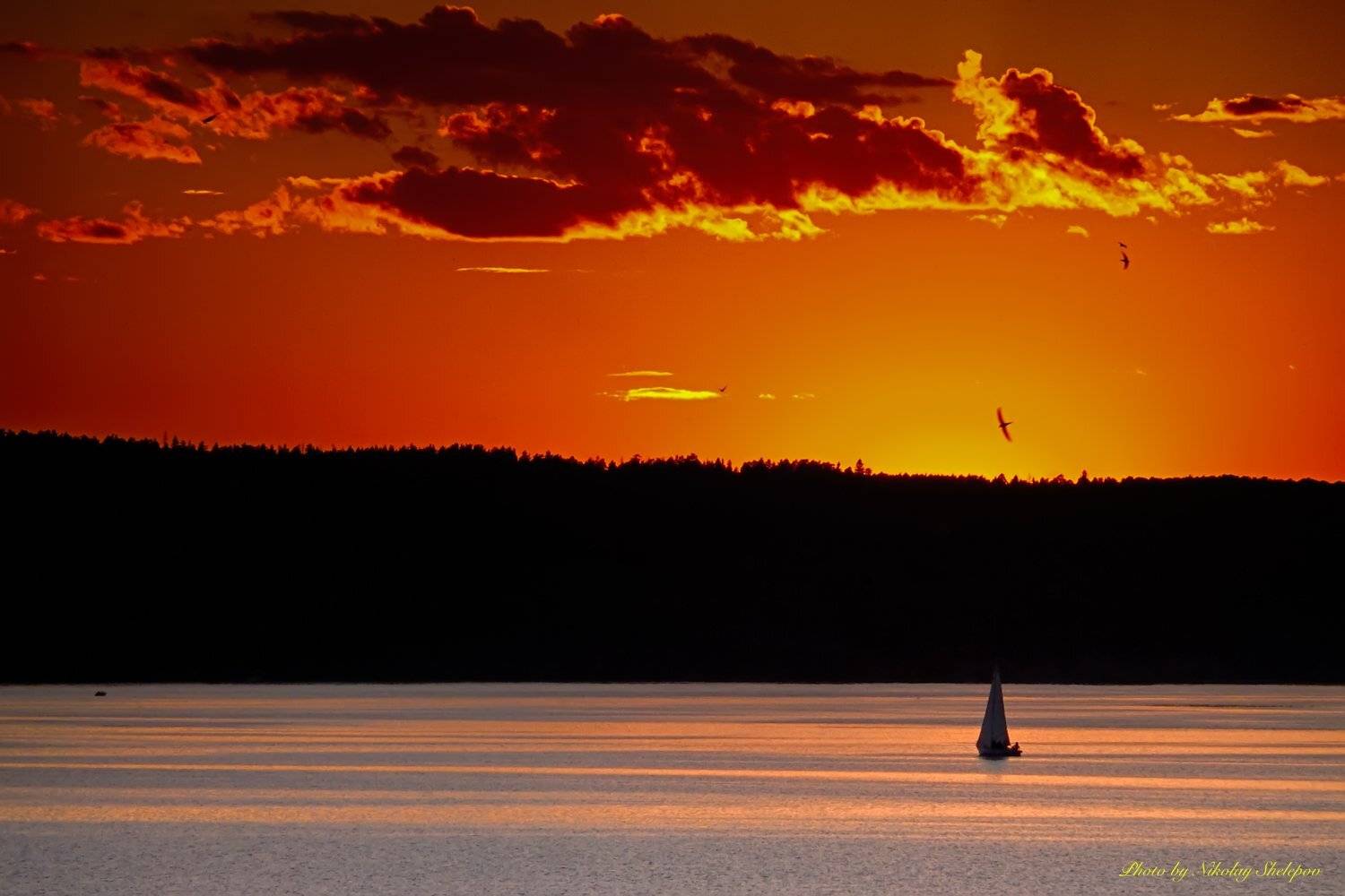 , Николай Шелепов