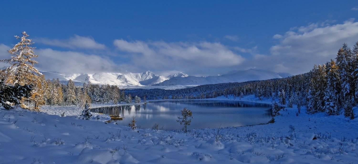 , Ольга Челдыкова