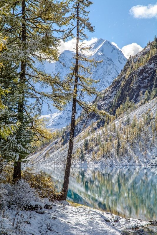 алтай,осень на берегу фото превью