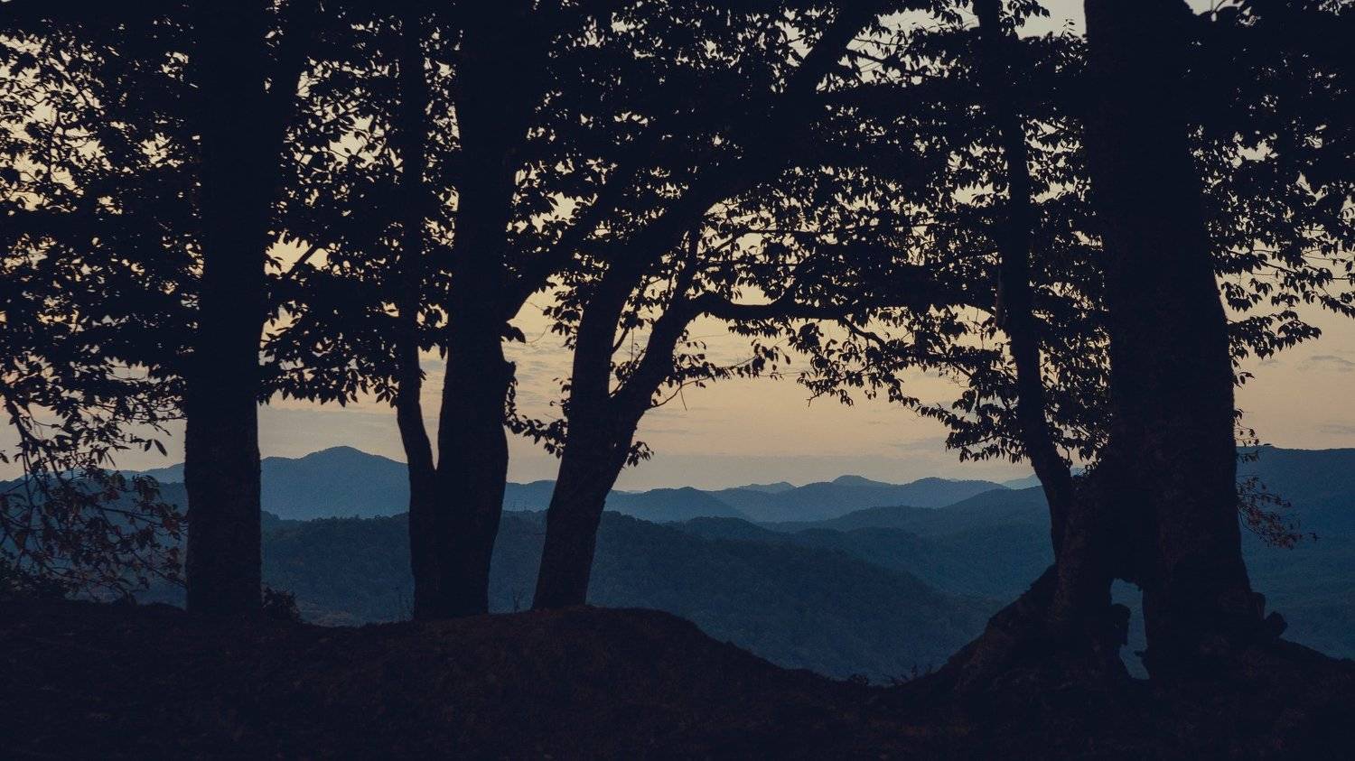 , Астрид Екатерина