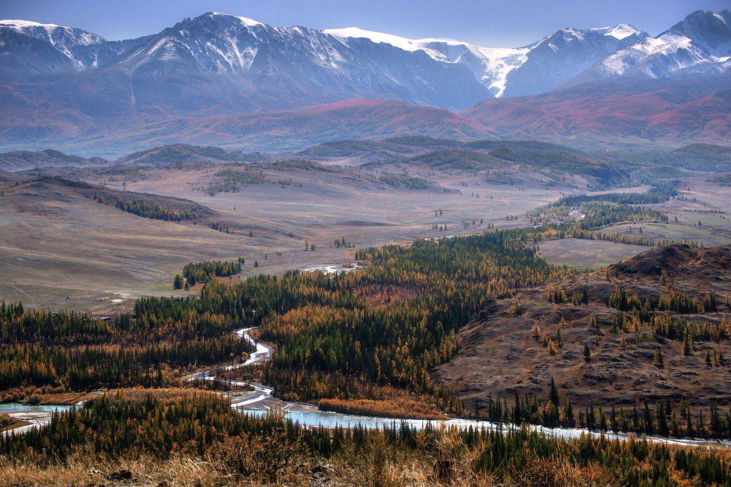 алтай, горы, осень, курай, Владимир Ляпин