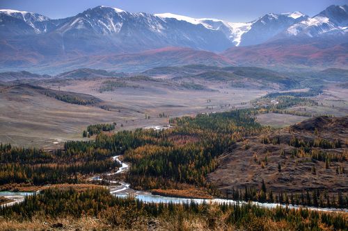 Курайские узоры