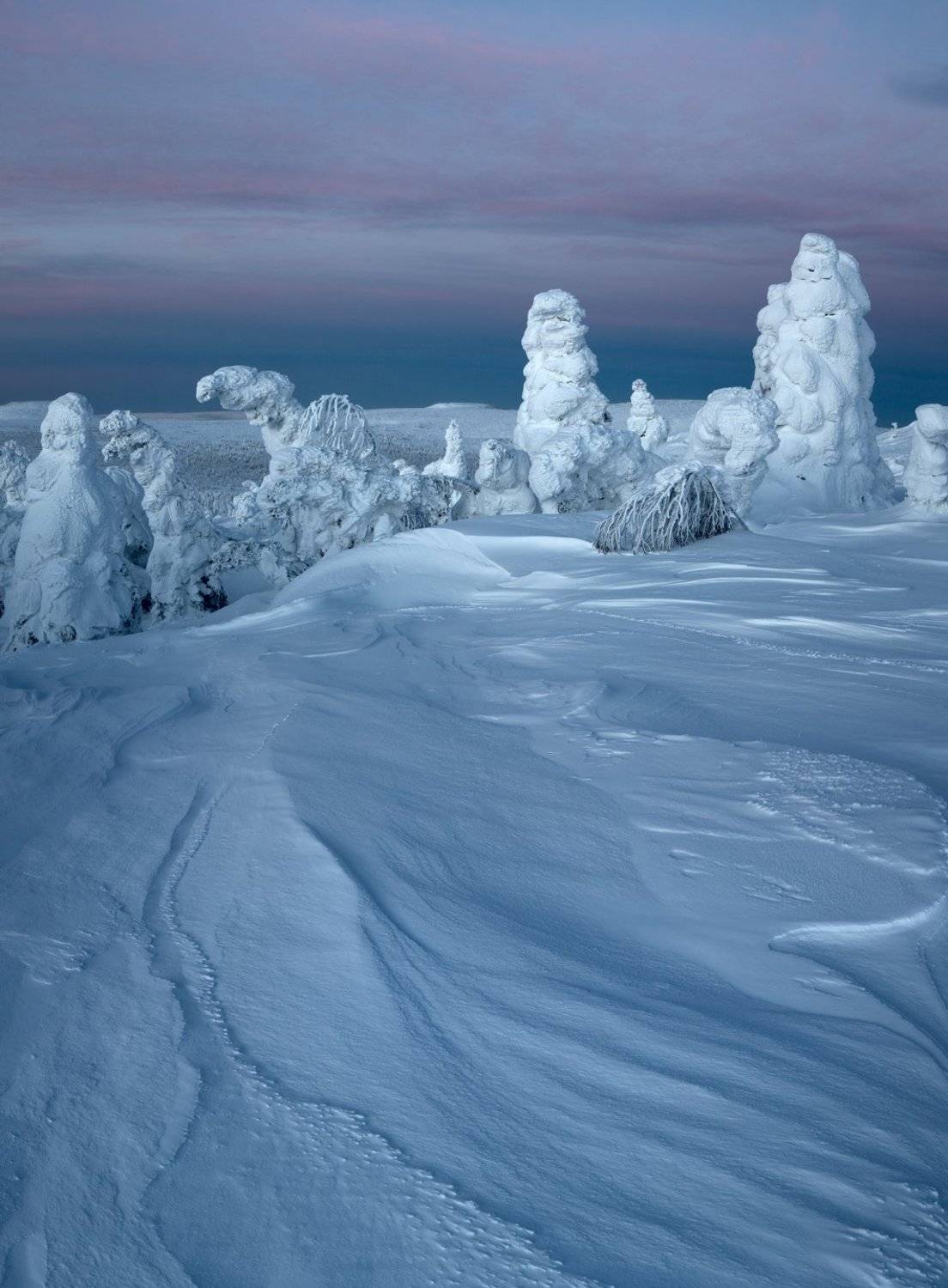 зима, снег, деревья, утро, рассвет, фактура, заструги, фигуры, монстры, урал, горы, антон селезнев, Антон Селезнев
