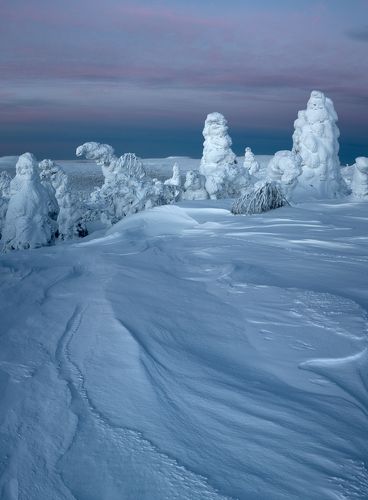 Музей снежных фигур