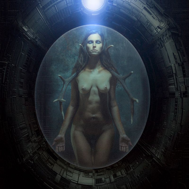 stalker, zerg, scifi, space capsule фото превью