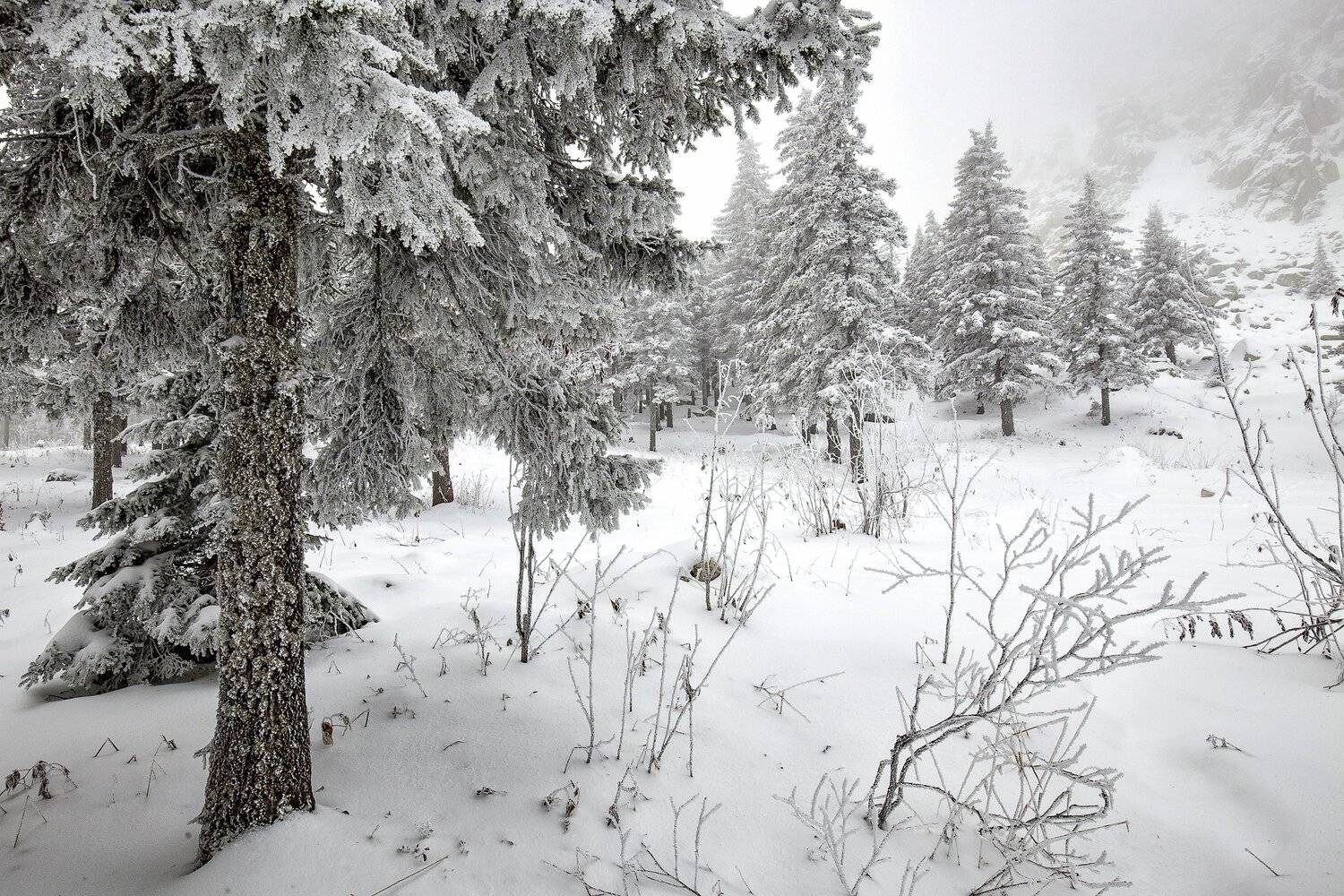 , Сергей Евдокимов