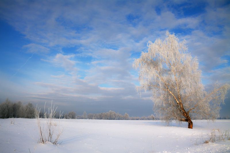 Во поле берёза стояла... фото превью
