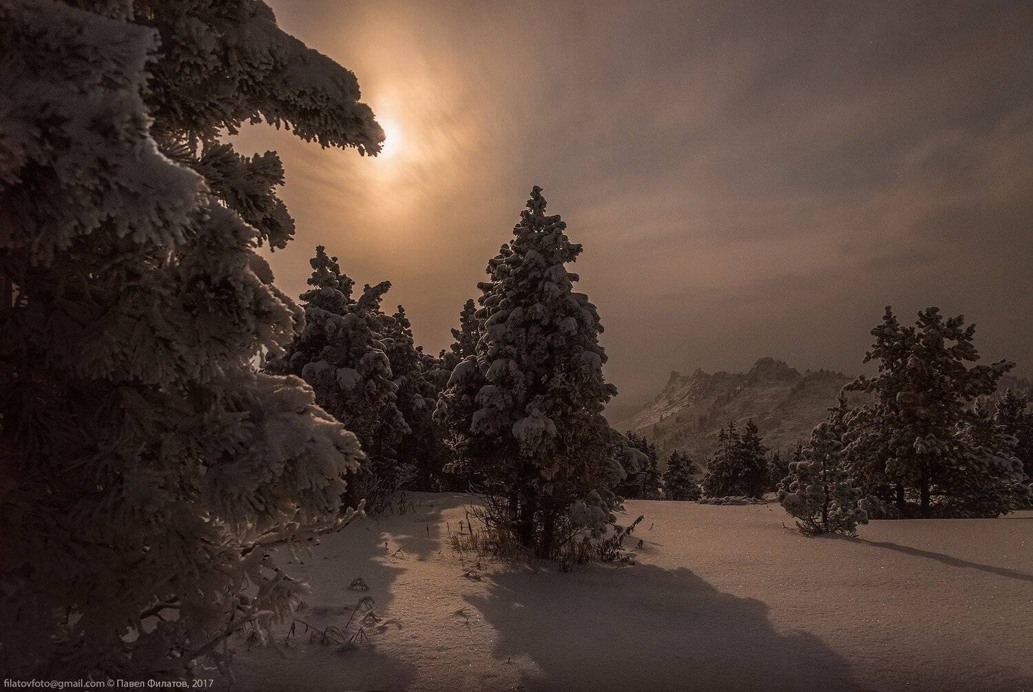 алтай, сибирь, тигирек, тигирекский заповедник, алтайский край, зима, кедры, пихтовый шкиль, снег, Павел Филатов