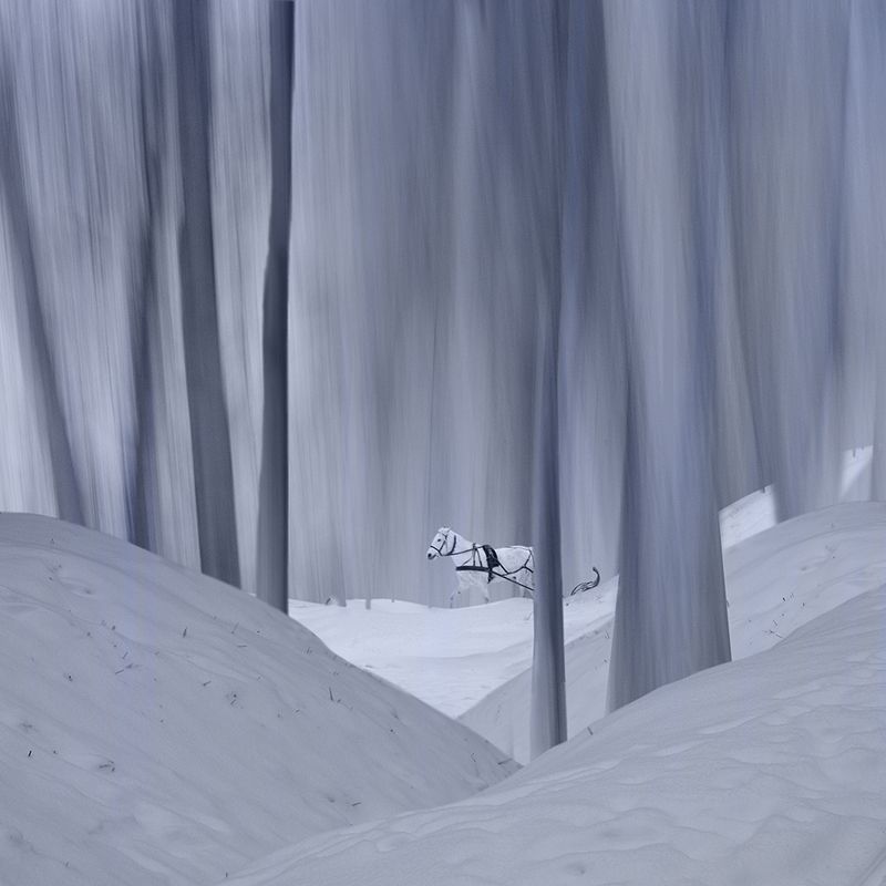 По зимнику фото превью