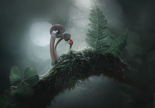 Таинственные миры