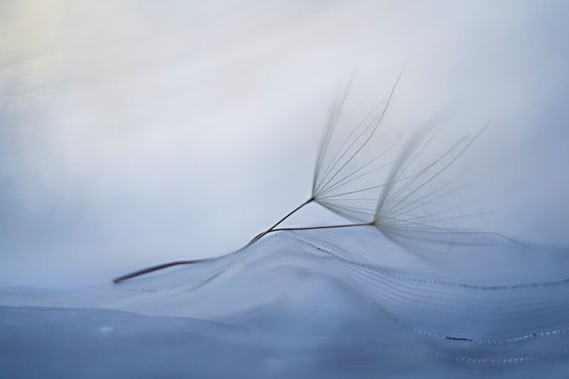 zakochani фото превью