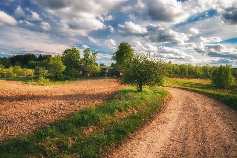 landscape,summer,latvia,road,farm,пейзаж,деревня,лето Про лето фото превью