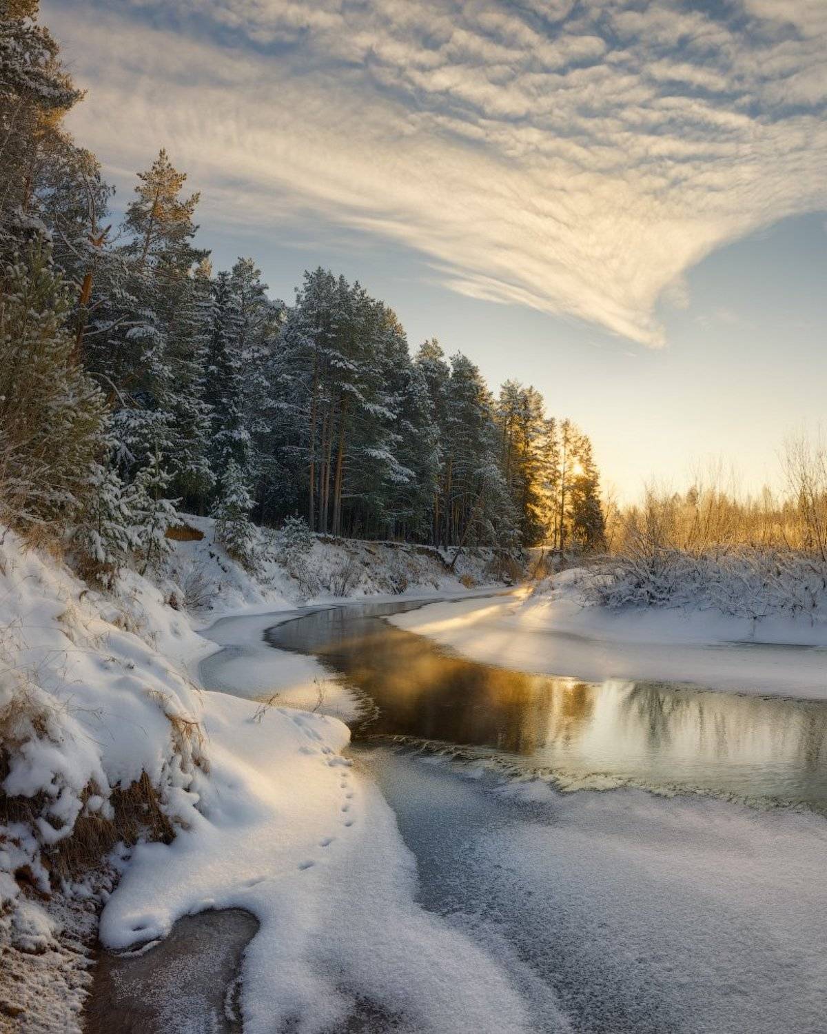 , Дмитрий Медянцев