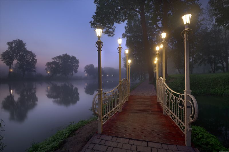 туман утро пейзаж  / Раннее утро в парке /  фото превью