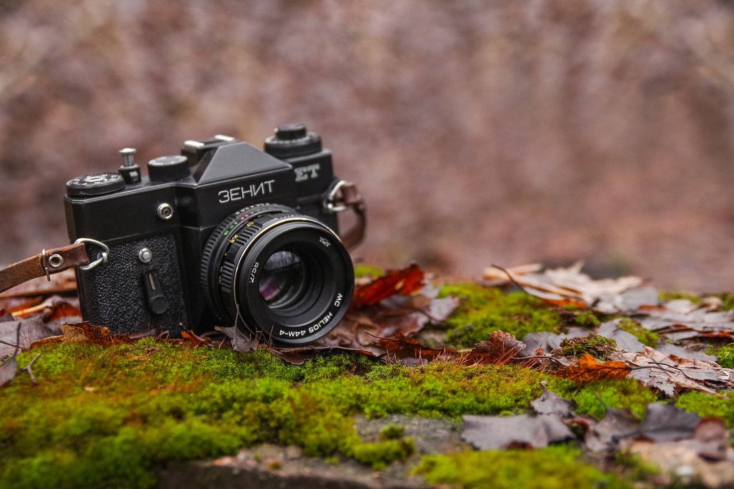 , Зарецкий Юрий