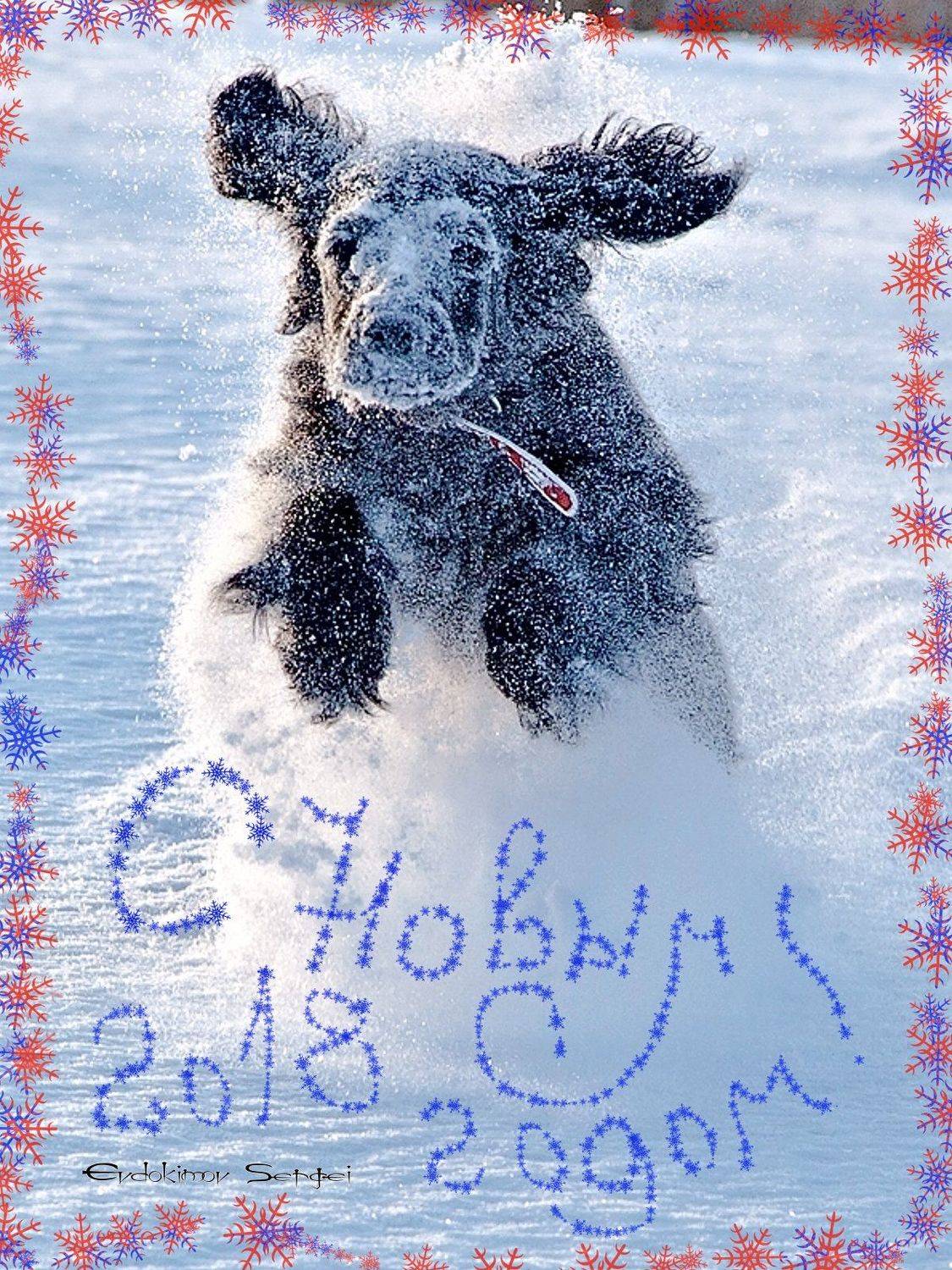 , Сергей Евдокимов