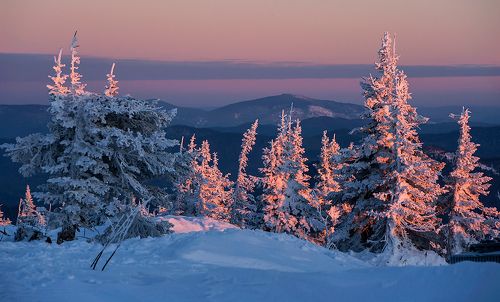 Розовый вечер или с Наступающим новым годом!