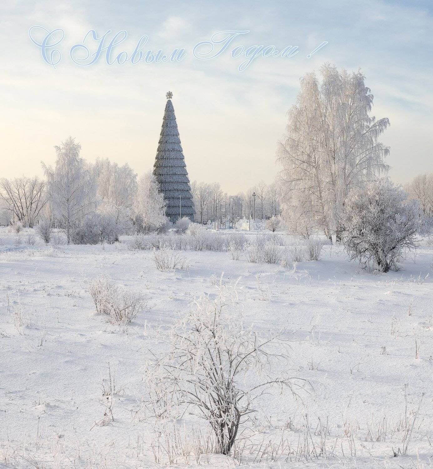 , Лещёнок Александр