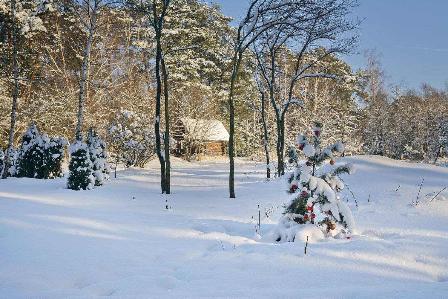 , Анатолий Зверев