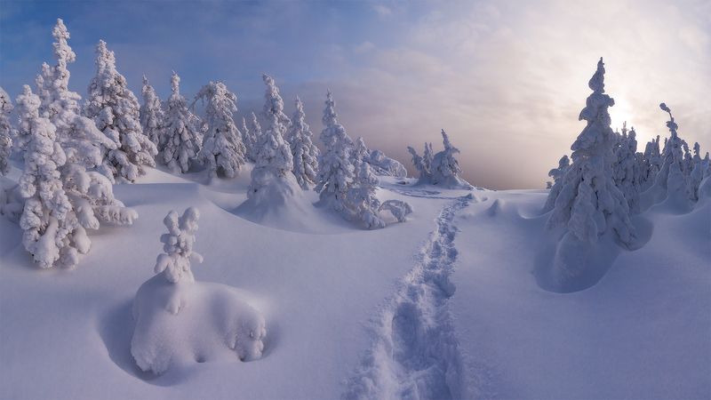 Уже в пути фото превью