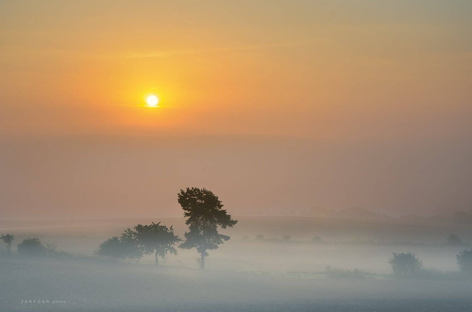 туман, дымка, туманно,дерево, солнце, дымка, пейзаж, поле, ноябрь,zanfoar, чешская республика,nikon d7000,чехия, Zanfoar