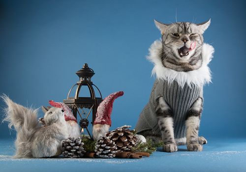 С Наступившим Всех C Новым Годом! Happy New Year!
