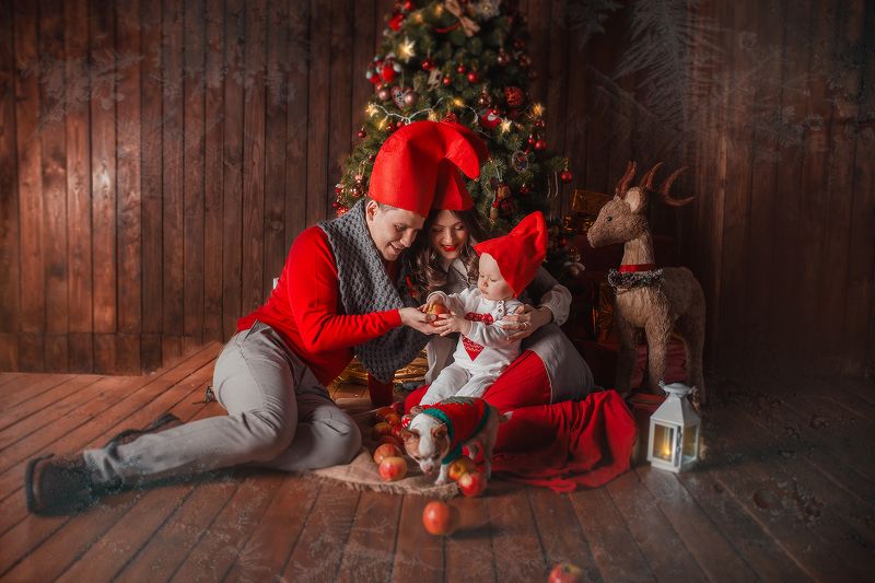 новогодняя, семейная съёмка, семья, детский мир, детство, новый год, год собаки Новогодняя фото превью