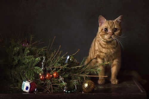 Упс... или новогоднее поздравление :)