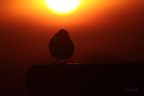 Последний день старого года.