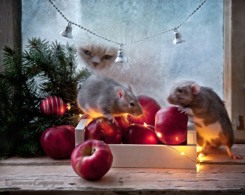 С Новым годом! фото превью