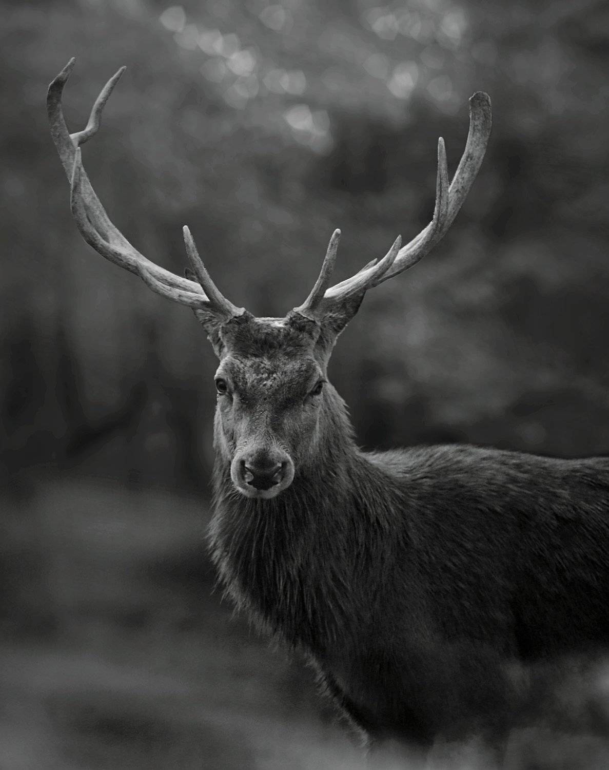 #hosseinmehrzad #myfeatureshoot #friendsinperson #حسین_مهرزاد #theweekoninstagram #everybodystreet #everydayeverywhere #persianlikes #hartcollective #reportagespotlight #uspiran #lensculturetalent #heatercentral #phroommagazine #friendsinperson #streetpho, Hossein Mehrzad