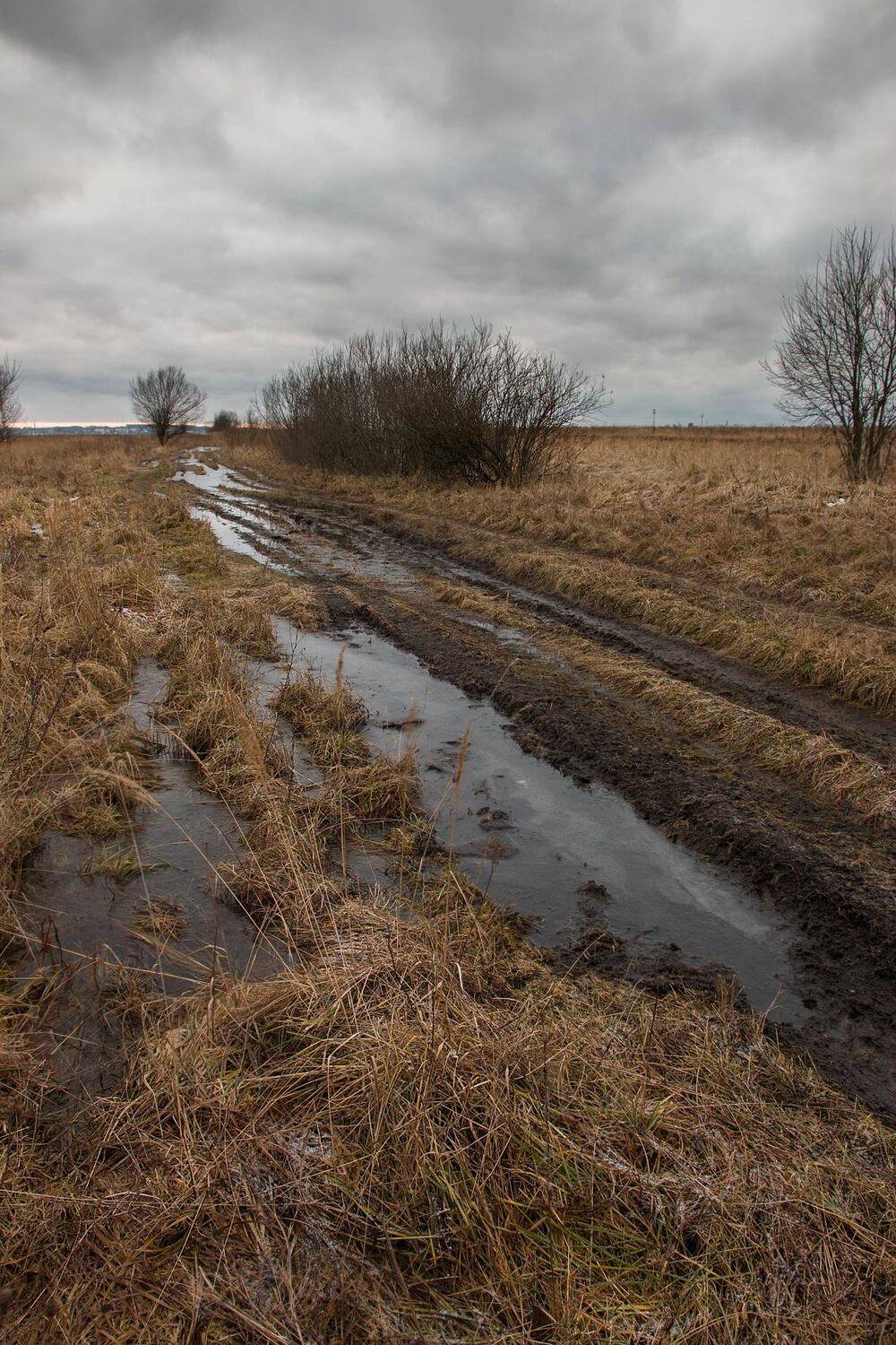 , Александр