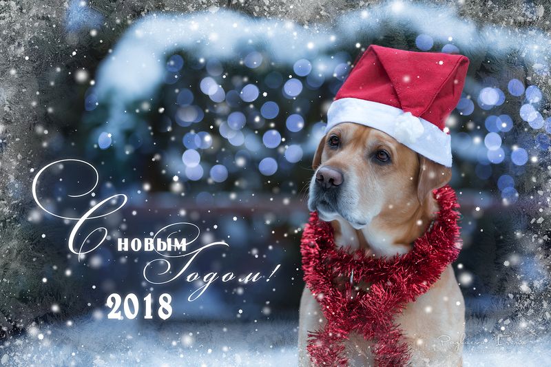 С Новым годом! фото превью