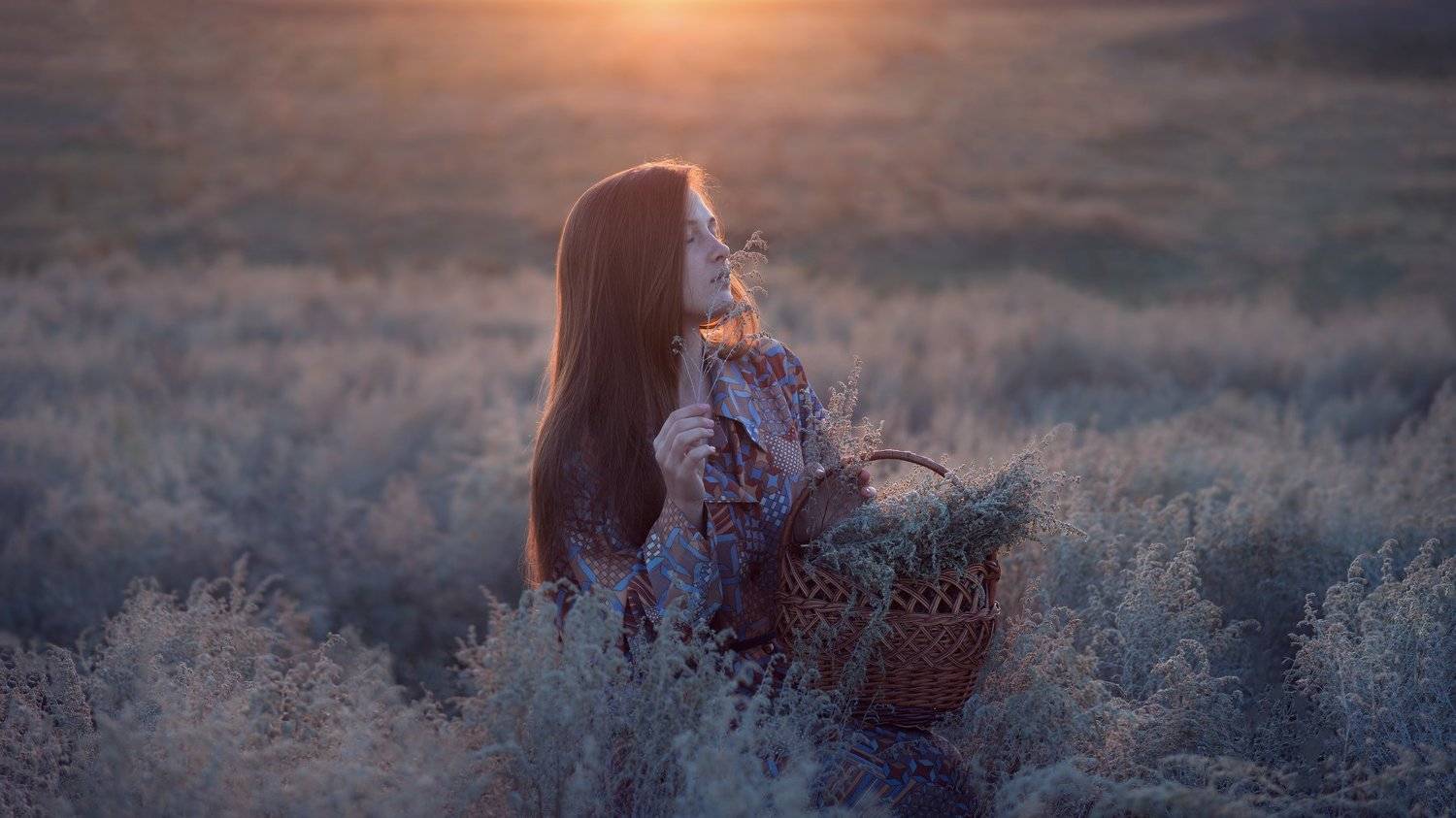 девушка, рассвет, полынь, первая заря, деревня, солнце, Катарина Винниченко