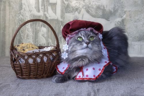 Красная Шапочка