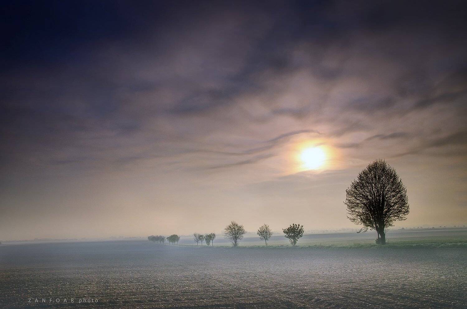 зимняя, красота,поле, аллея, пейзаж зима, поле, снег, снежное поле, морозное небо, облака,zanfoar,czech republic,nikon d7000,чехия, Zanfoar
